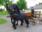 Bild03